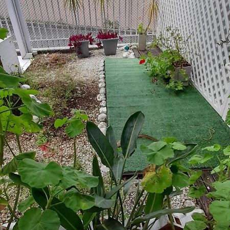 فيلا Casa Inteira 2 Dorm Minimo 3 Dias كوريتيبا المظهر الخارجي الصورة